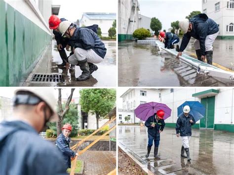 战台风 保粮安 中储粮浙江、上海分公司全力守护“大国粮仓”手机新浪网