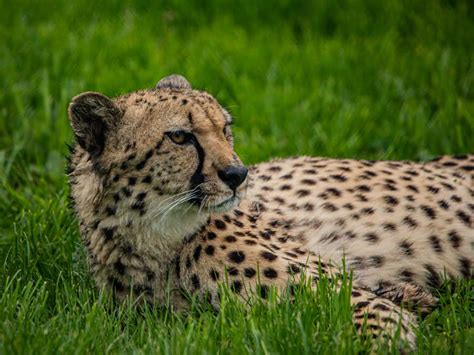 Vogelpark Irgen D Ausflugstipps Freizeit Und Ausflugstipps F R Ihren