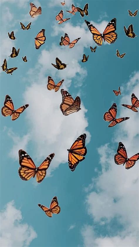 Update 78+ monarch butterfly wallpaper latest - in.cdgdbentre