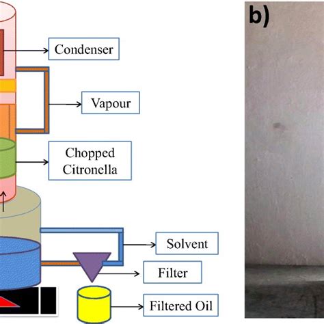 Steam Distillation Process A Schematic Of The Steam Distillation