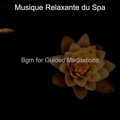 Bgm For Guided Meditations Album By Musique Relaxante Du Spa Spotify