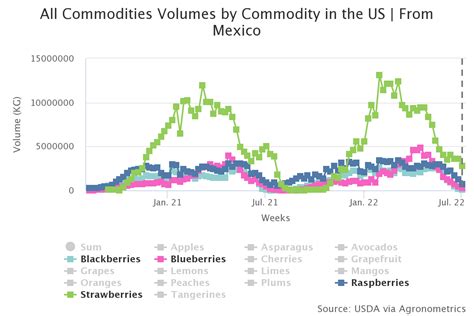 Agronometrics En Gr Ficos La Pr Spera Industria De Los Berries En