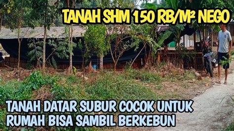 Tanah Luas 1600 m² SHM Bisa Untuk Rumah Tinggal Sambil Berkebun Atau