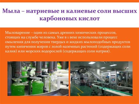 Жиры как продукт питания и химическое сырье - презентация онлайн
