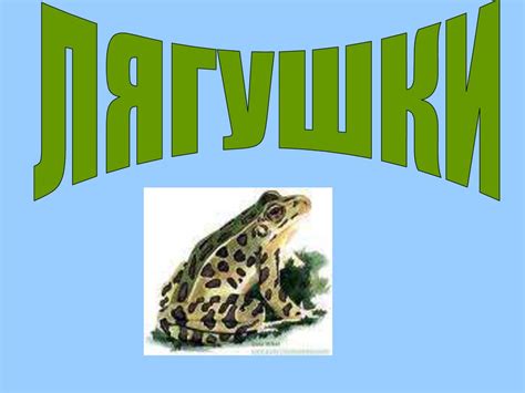 Лягушки-квакушки - презентация онлайн