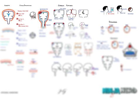 Solution Neuro Pathology 16 Epidural Hematoma Pdf Key Studypool