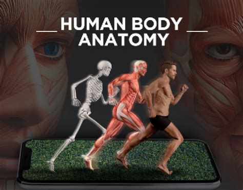 Online Learning Course: Human Body Anatomy on Behance