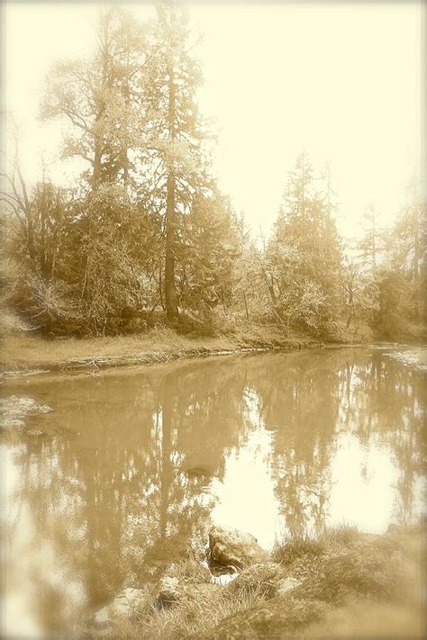 Reflected Forest Photograph By Christine Patterson Fine Art America