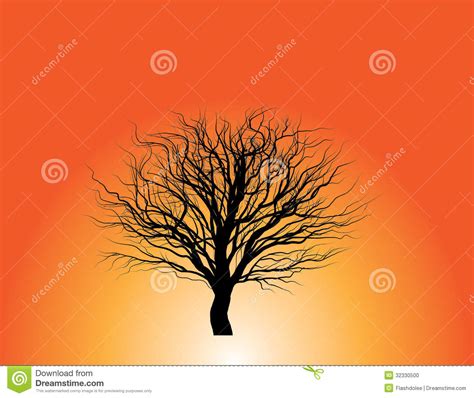 Tree Without Leaves Silhouette Stock Vector Illustration Of Nature