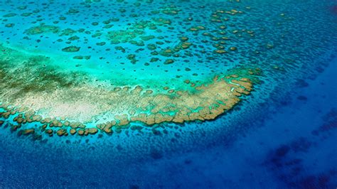 Great Barrier Reef Water Quality Monitoring Gets A Funding Boost Uq News The University Of