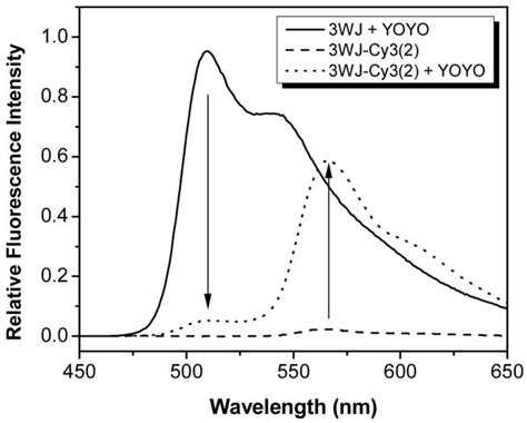 Fluorescent Dna Nanotags Supramolecular Fluorescent Labels Based On