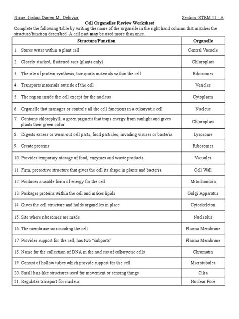 Deloviar Cell Organelle Review Worksheet Pdf Cell Biology