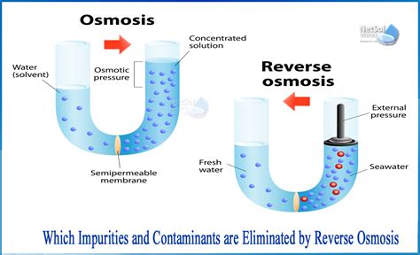 Which Impurities And Contaminants Are Eliminated By Ro