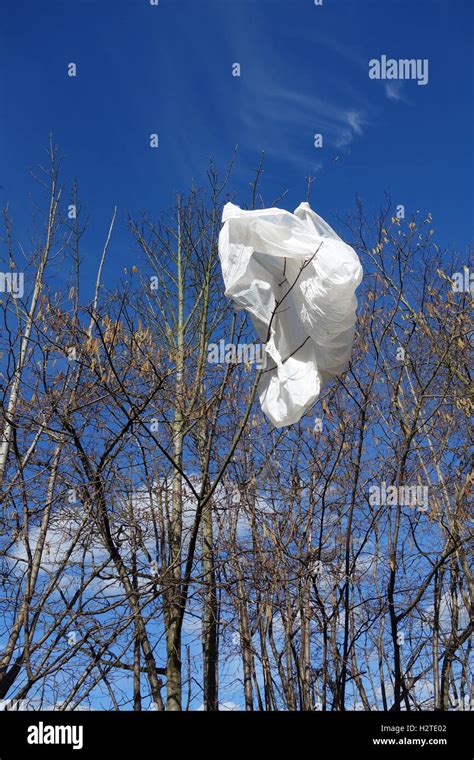 White Plastic Bag Caught In Branches Of Tree Stock Photo Alamy