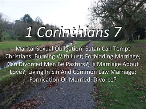 1 Corinthians 7 1 14 Satan Tempts Christians Lust Forbidding Marriage Divorced Pastors