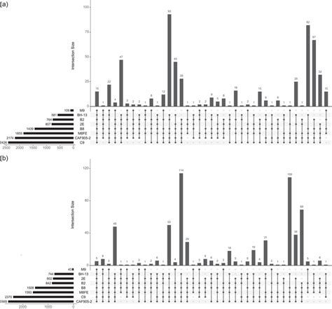 Upset Plot Showing The Number Of Common Genes That Are Differentially