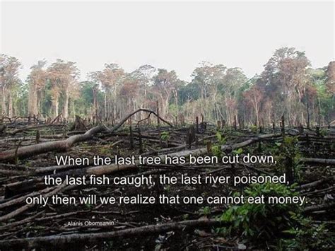 Deforestation Quotes - ShortQuotes.cc