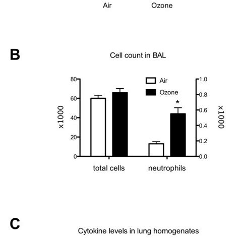 Effects Of Ozone Exposure On Lung Inflammation In Control Mice Total