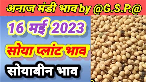 सोया प्लांट भाव सोयाबीन का भाव Soya Plant Bhav Today Soyabean Rate