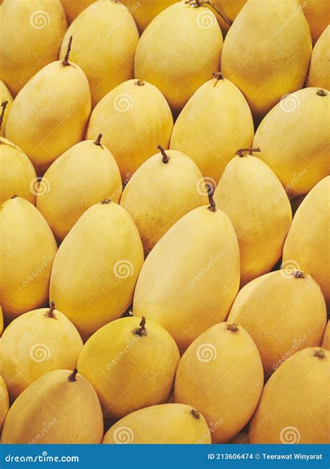 Mangos Fresh Fruit Summer Season Stock Photo Image Of Vitamin