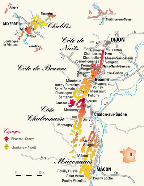 Burgundy Wine Tours From Paris With Top Wine Tasting