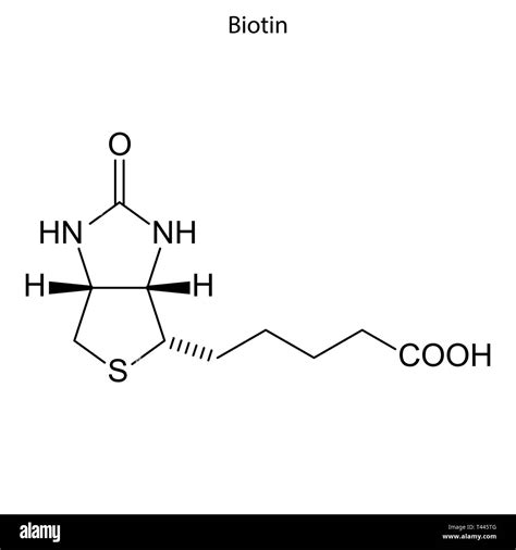 Fórmula esquelética de la biotina La vitamina B 7 molécula química