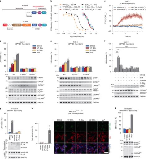 Esterified Xaa Pro Dipeptides Selectively Activate The Card