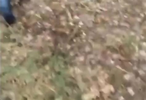 Geile Blonde Milf Fickt Im Wald