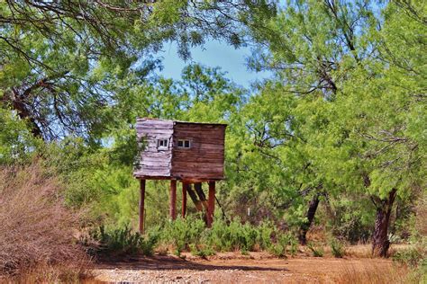 Historic South Texas Hunting Ranch
