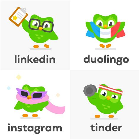 Duolingo Owl