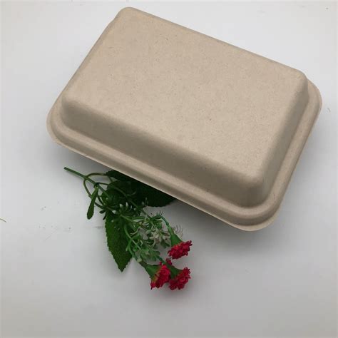 China 1000ml Natural Biodegradable Sugarcane Bagasse Food Trays With