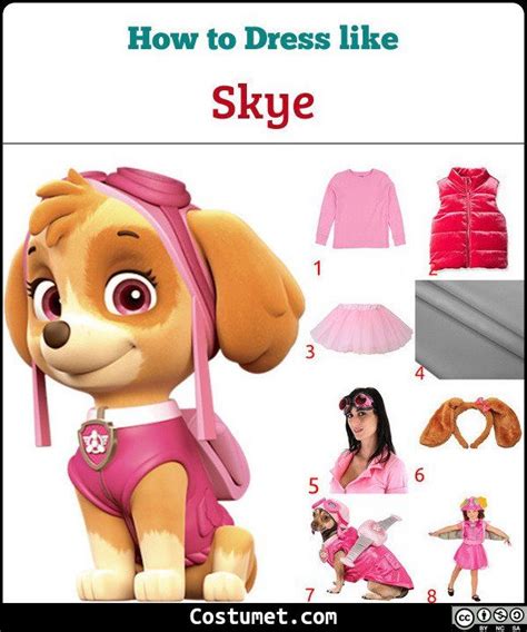 Skye Paw Patrol Costume For Cosplay Halloween Skye Patrulla