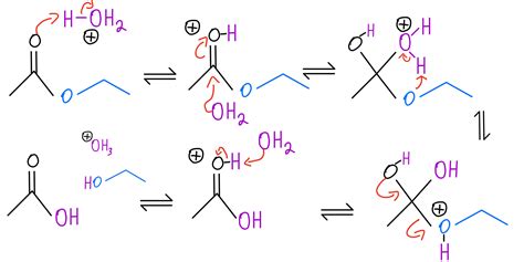 What Is Hydrolysis Reaction In Chemistry With Examples Chemsolve Net ...