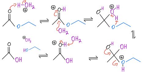 Hydrolysis Organic Chemistry Video Clutch Prep