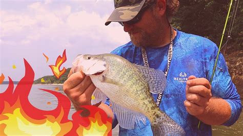 Secret For Catching Tough Hot Summer Crappie How To Catch Crappie In