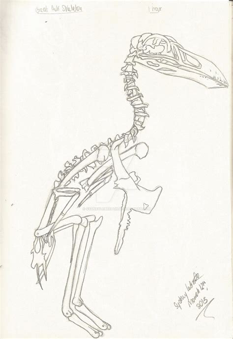 Great Auk Skeleton by SydneyLeBreton on DeviantArt