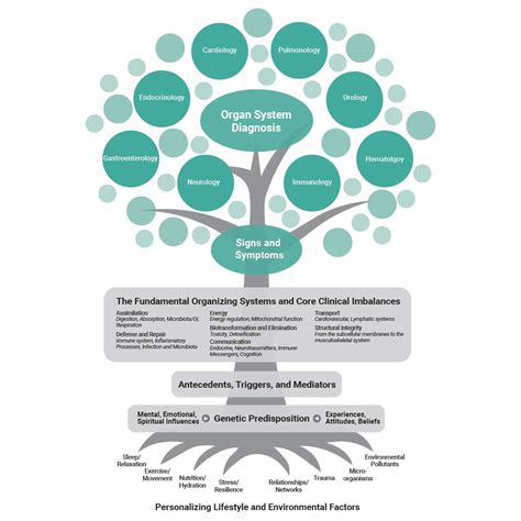 Functional Medicine Melbourne Getting To The Root Cause