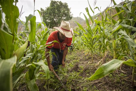 La Adaptación basada en ecosistemas AbE y el bienestar humano en