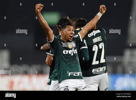 CapCut Botafogo X Palmeiras Gols