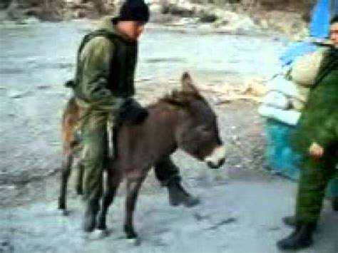 Ишак наказал ))))))))))) - YouTube