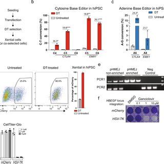 Co Selection Of Base Editing And Cas Nuclease Mediated Genome