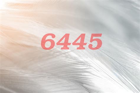 What Is The Meaning of The 6445 Angel Number? - TheReadingTub