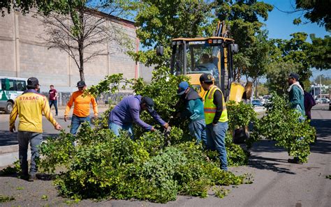 Ayuntamiento Inicia Trabajos Previos Para El Reencarpetado Del Bulevar