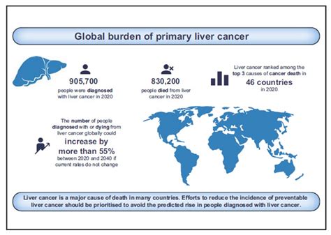 Liver Cancer Cases And Deaths Projected To Ri Eurekalert