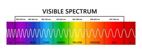 Espectro De Luz Visible Infarrogado Y Ultravioleta Longitud De Onda De