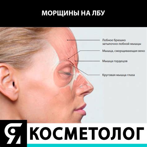 Я КОСМЕТОЛОГ | @eldancosmetics ПРИГЛАШАЕТ ПРОФЕССИОНАЛОВ И НАЧИНАЮЩИХ ...