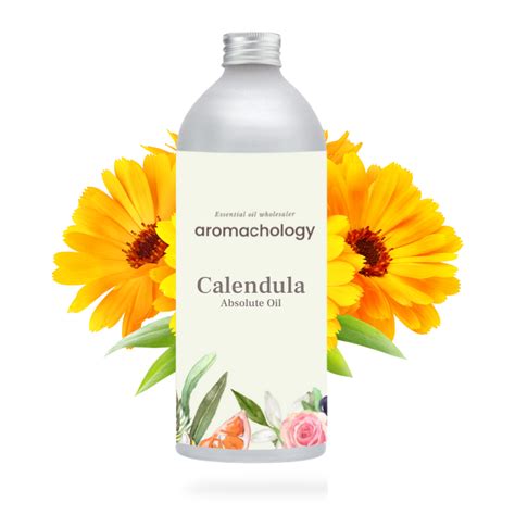 Calendula Absolute Oil Essential Oil Wholesaler