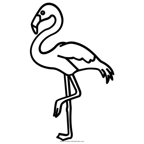 flamingo clipart outline 9 free Cliparts | Download images on ...