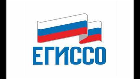 Руководство для экспертов: как правильно заполнить форму EGISSO