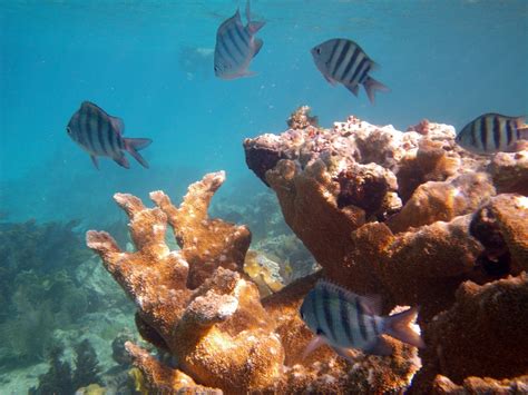 Trunk Bay Underwater Park Trail